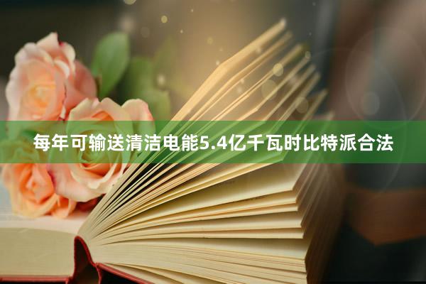 每年可输送清洁电能5.4亿千瓦时比特派合法